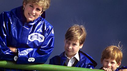 Princess Diana, Prince William, and Prince Harry