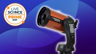 celestron nexstar 8se on a blue background