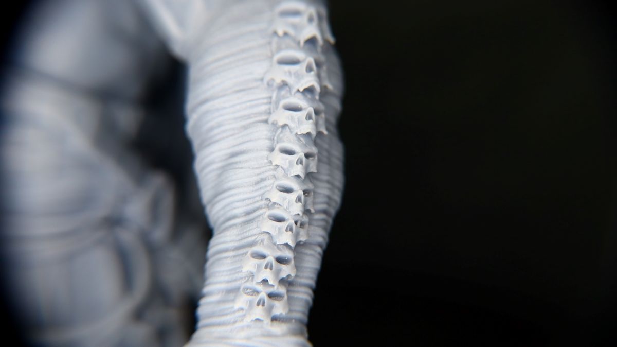 Anycubic Photon M3 Premium_Test print