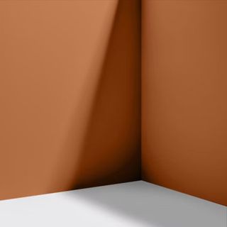 orange paint