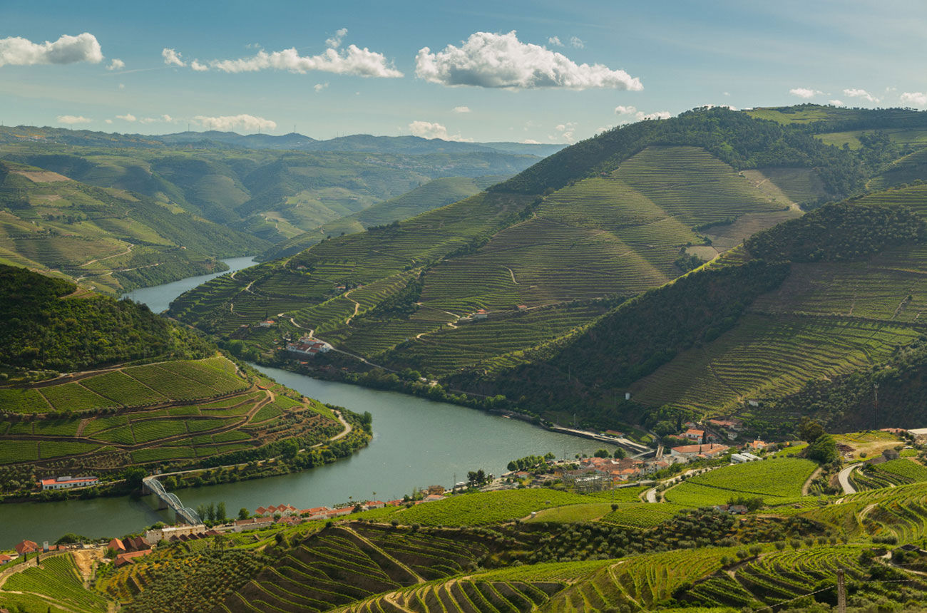 Soul Wines vineyards