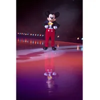 14. Disney On Ice Tickets | View at Ticketmaster