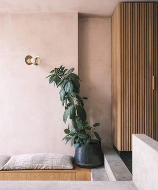 Pink entryway, wooden closet, plant, storage bench