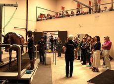 Students look on as a horse is worked on the treadmill