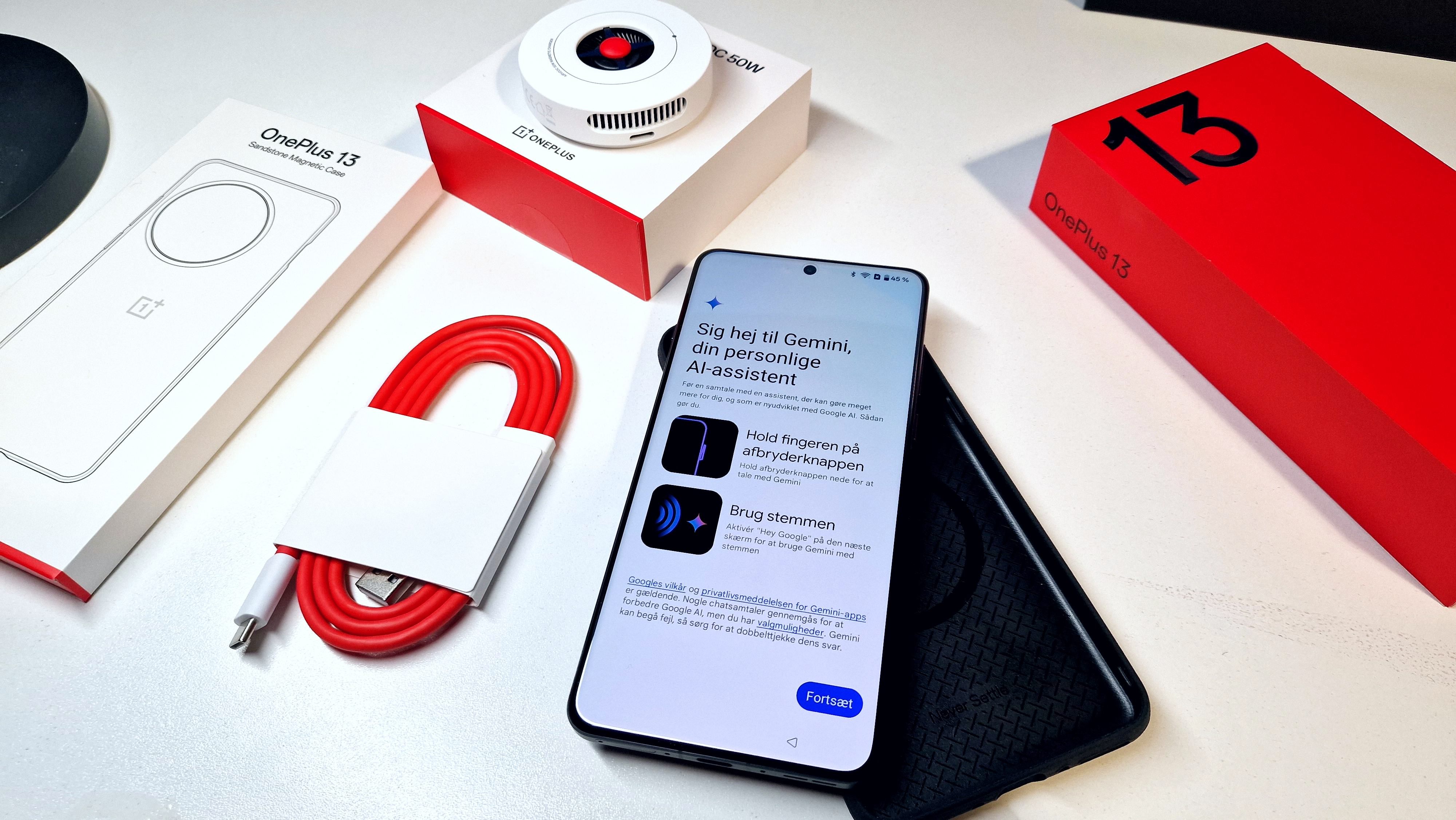 OnePlus 13