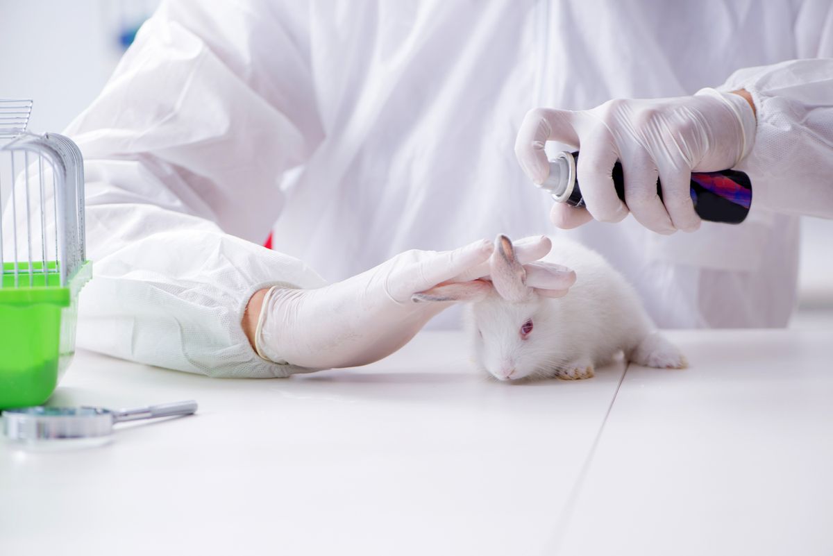 animal testing in lab