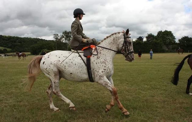 Natalie-White.jpg