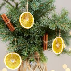 Evergreen boughs in a vase decorated with orange slices and cinnamon sticks