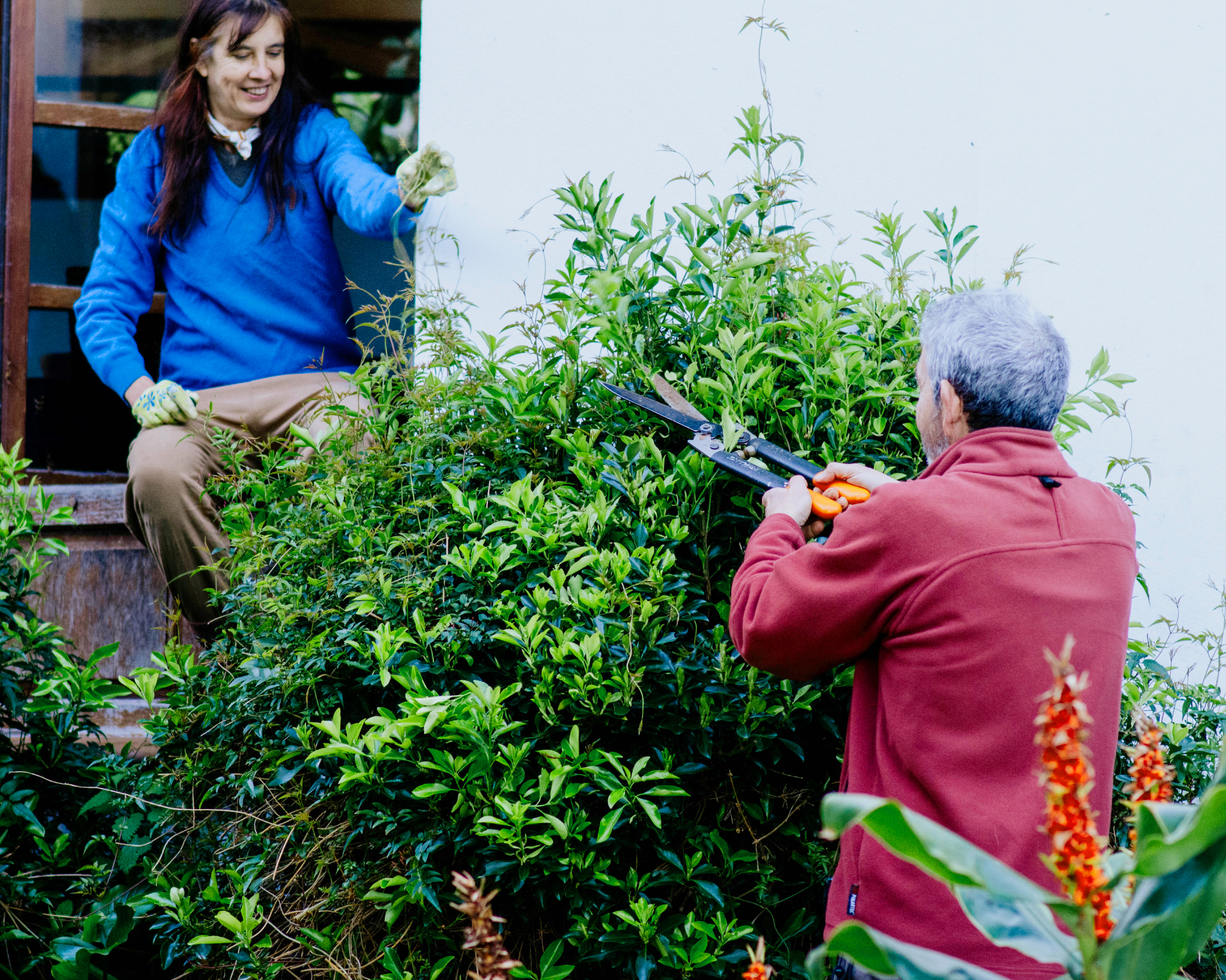 Man helping woman trim bushes