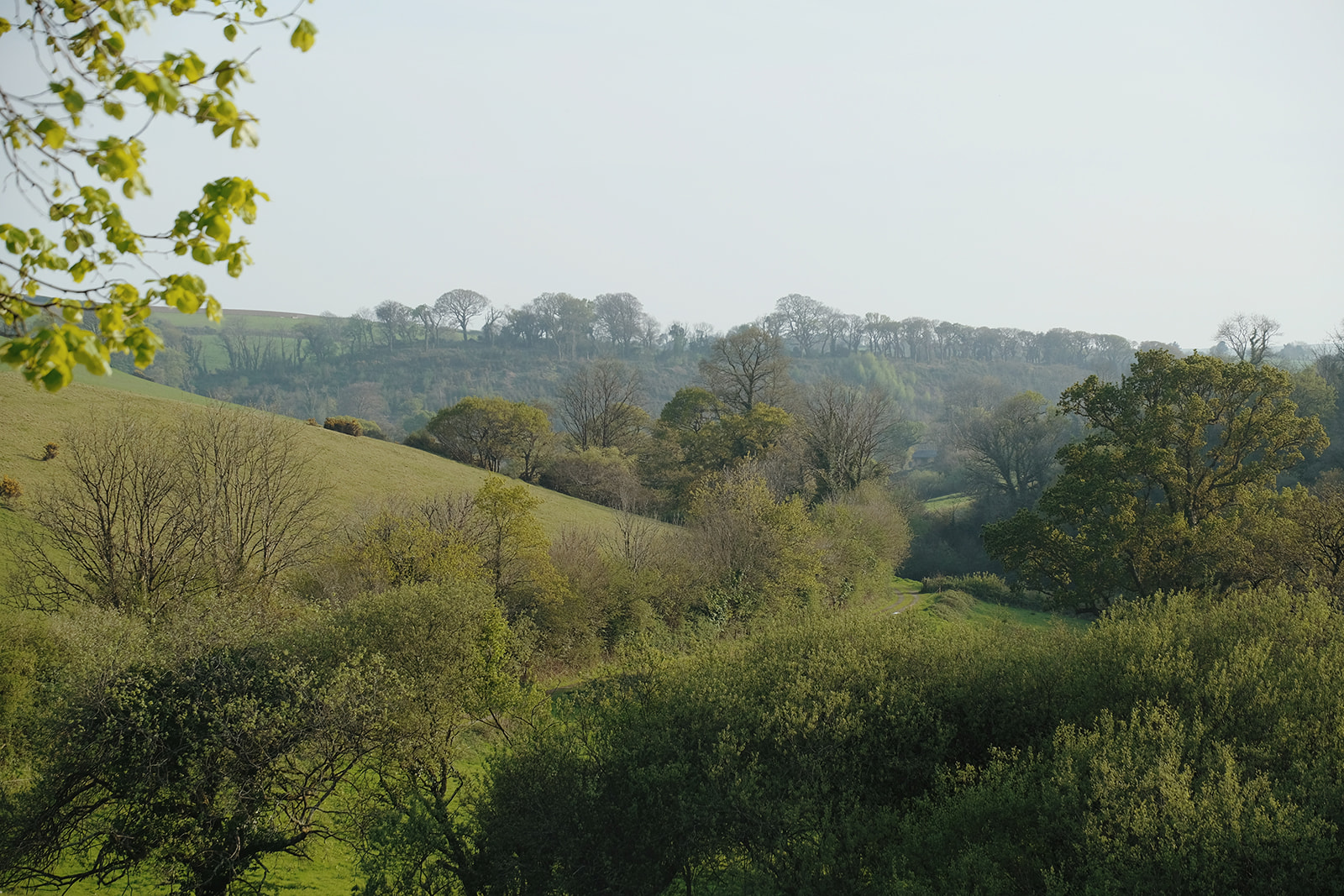 Colour photographs of a retreat-style hotel in the Devon countryside