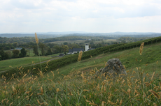 Jefford on Monday RdV estate, Virginia