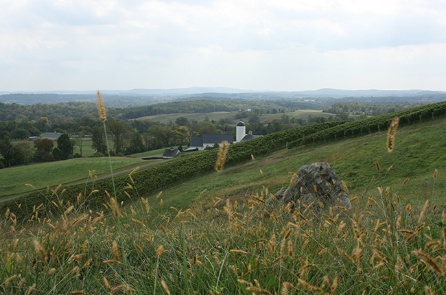 Jefford on Monday RdV estate, Virginia