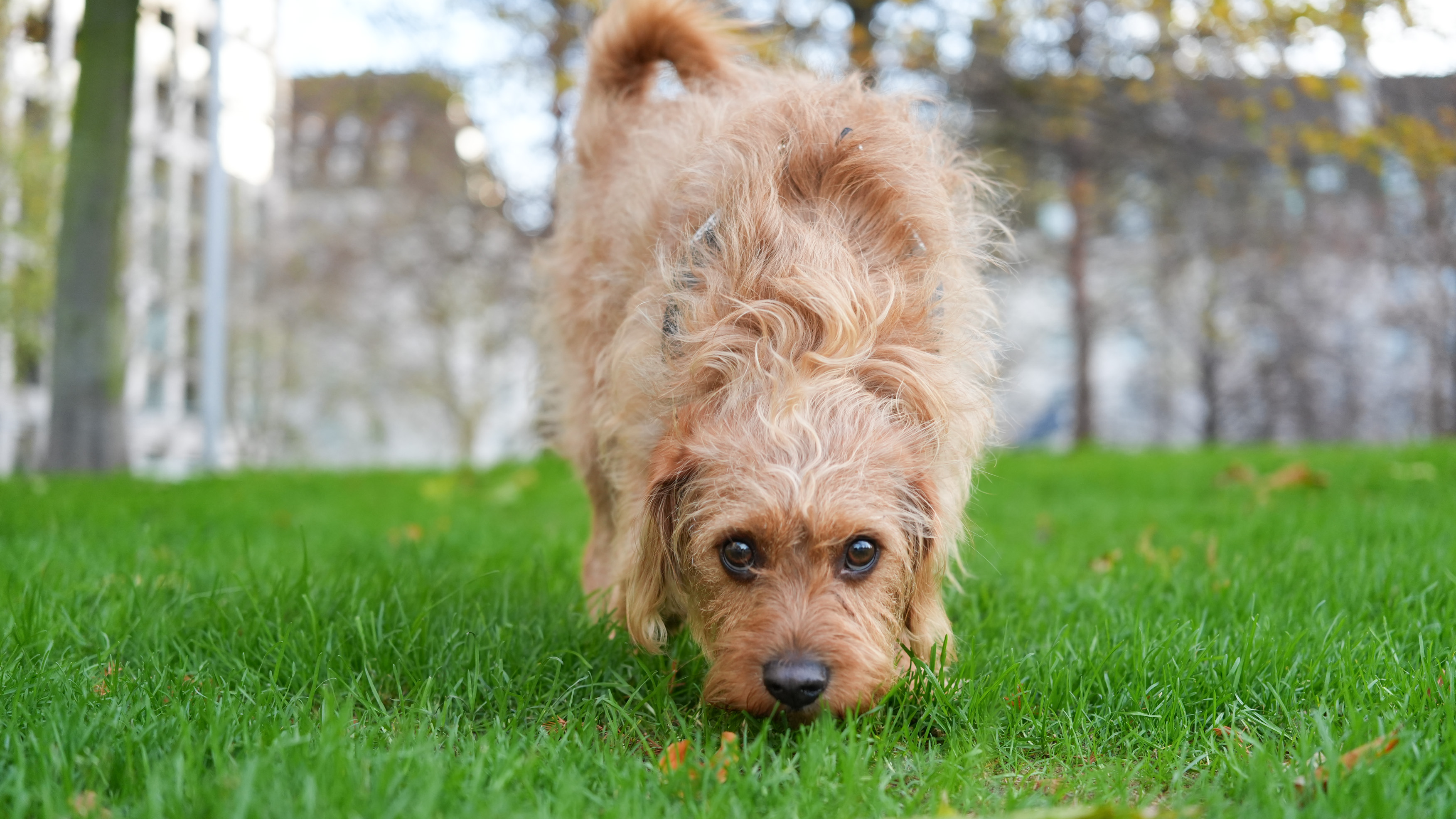Image captured with the Sony A7 V Mirrorless camera in London