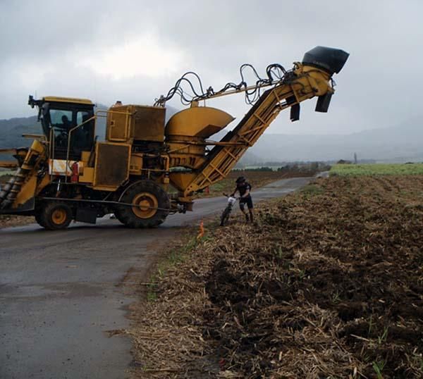 A Mauritian obstacle