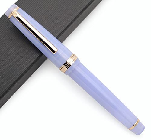  Fountain Pen With Gold Clip