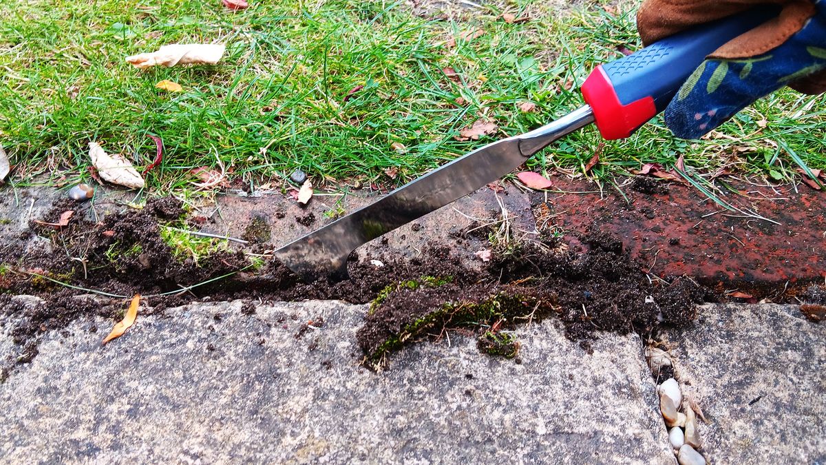 Spear &amp; Jackson patio knife weeding