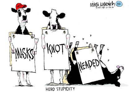 Editorial Cartoon U.S. MAGA Chik fil a cows COVID masks