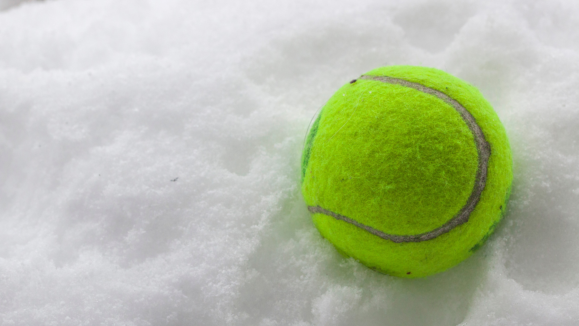 Tennis ball on snow