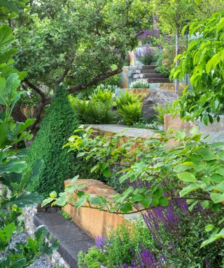 basalt and rock steps leading up a sloped garden with surrounding planting of salvia and ferns