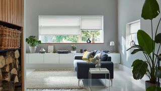 modern living room with white blinds at windows pale grey walls, navy sofa, large green plant, wooden storage with log basket and logs, tiled floor and large rug
