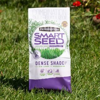 Pennington Smart Seed Dense Shade Grass Seed Mix, for Partial to Full Shade, 7.0 Lb.