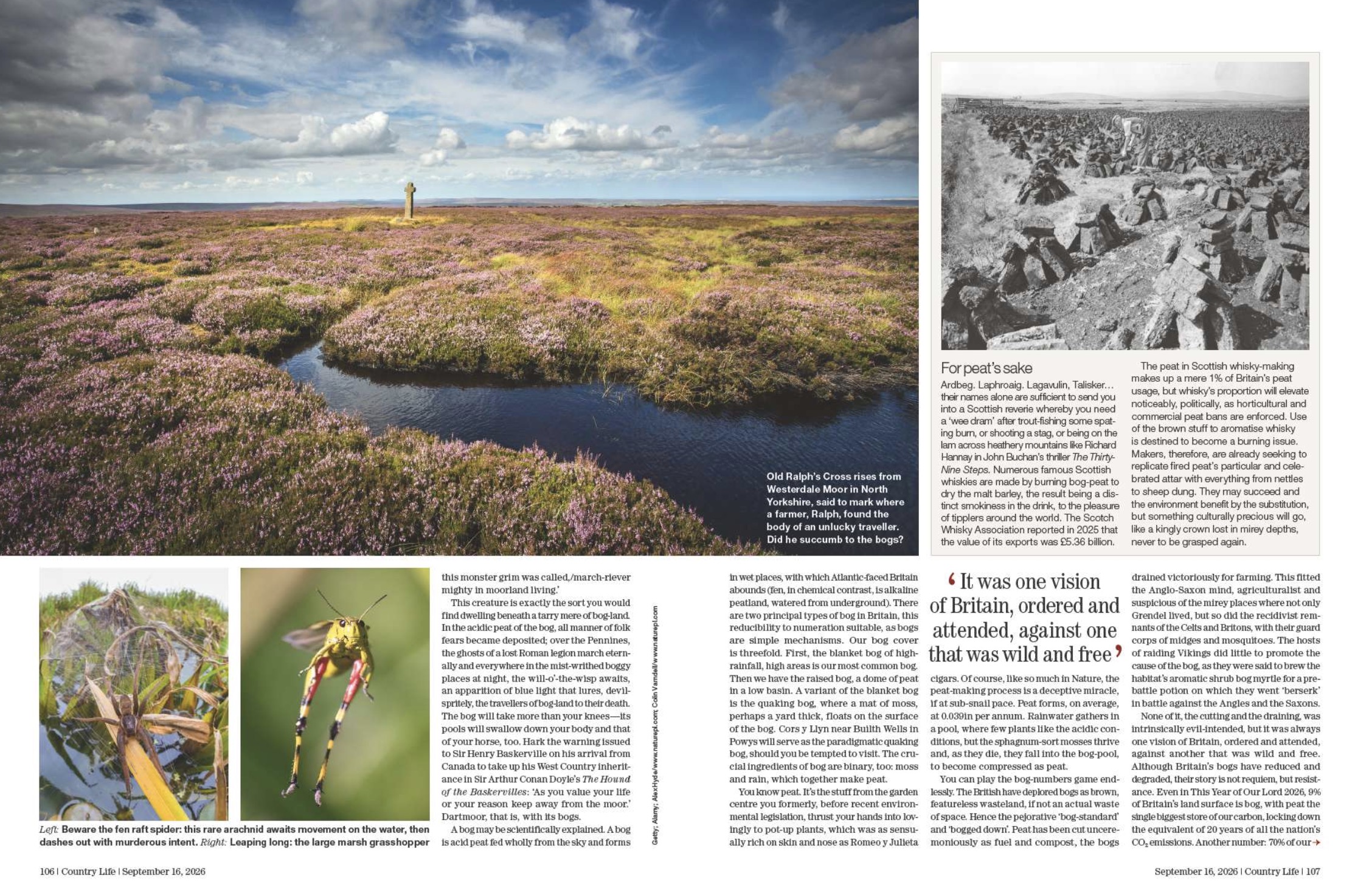 Spreads from Country Life 16 September 2026