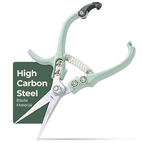 Pruning Shears