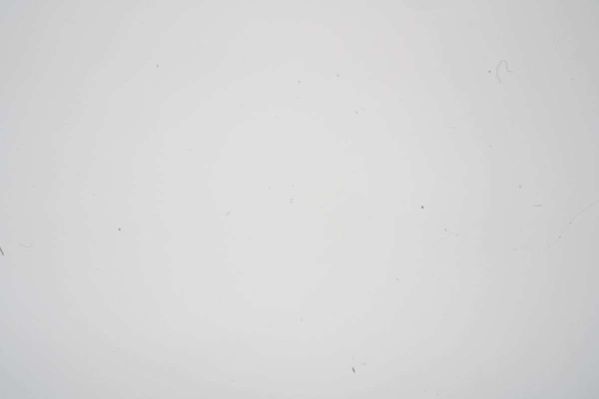 Sensor cleaning kits