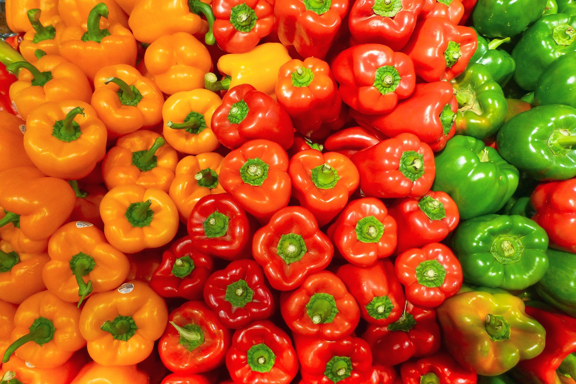 How to grow and care for bell peppers Homes & Gardens