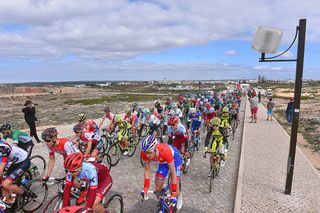 The Volta ao Algarve peloton