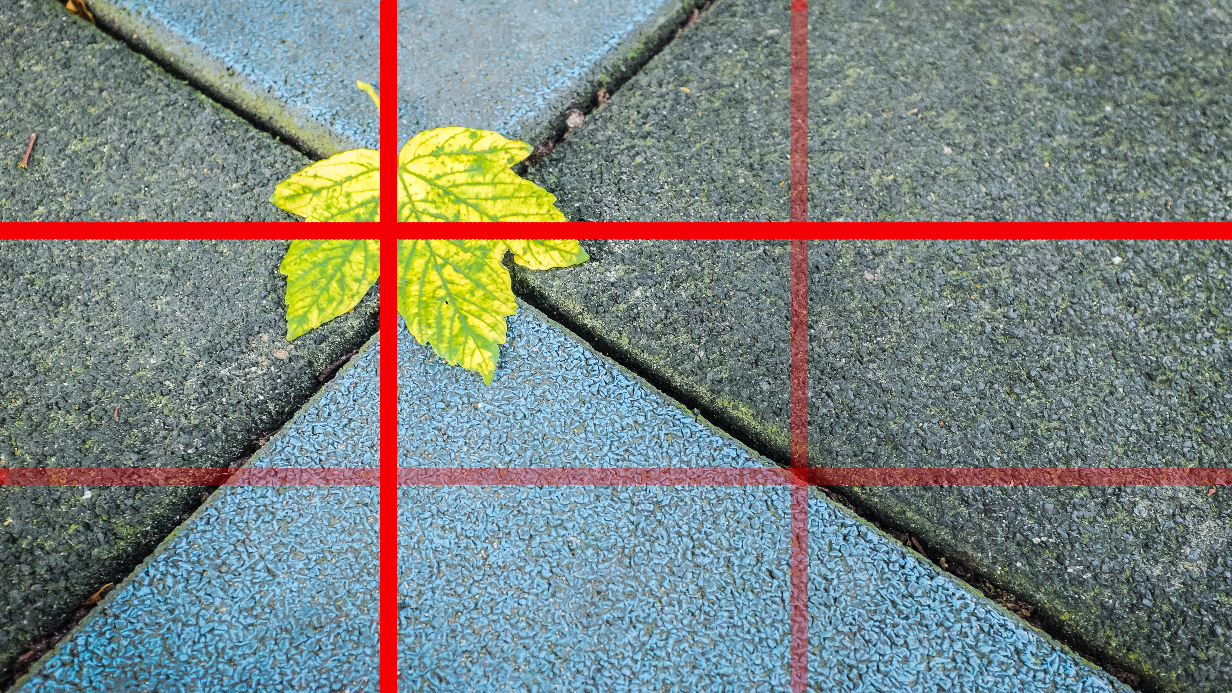 A solitary leaf on colored paving slabs, photographed using the rule of thirds