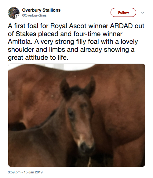 Ardad.png