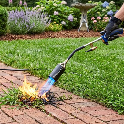  A hand using a flame weeder to burn weeds growing out of a brick walkway