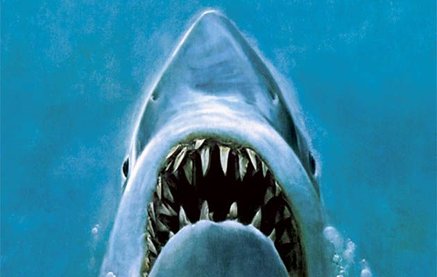 Jaws | What to Watch