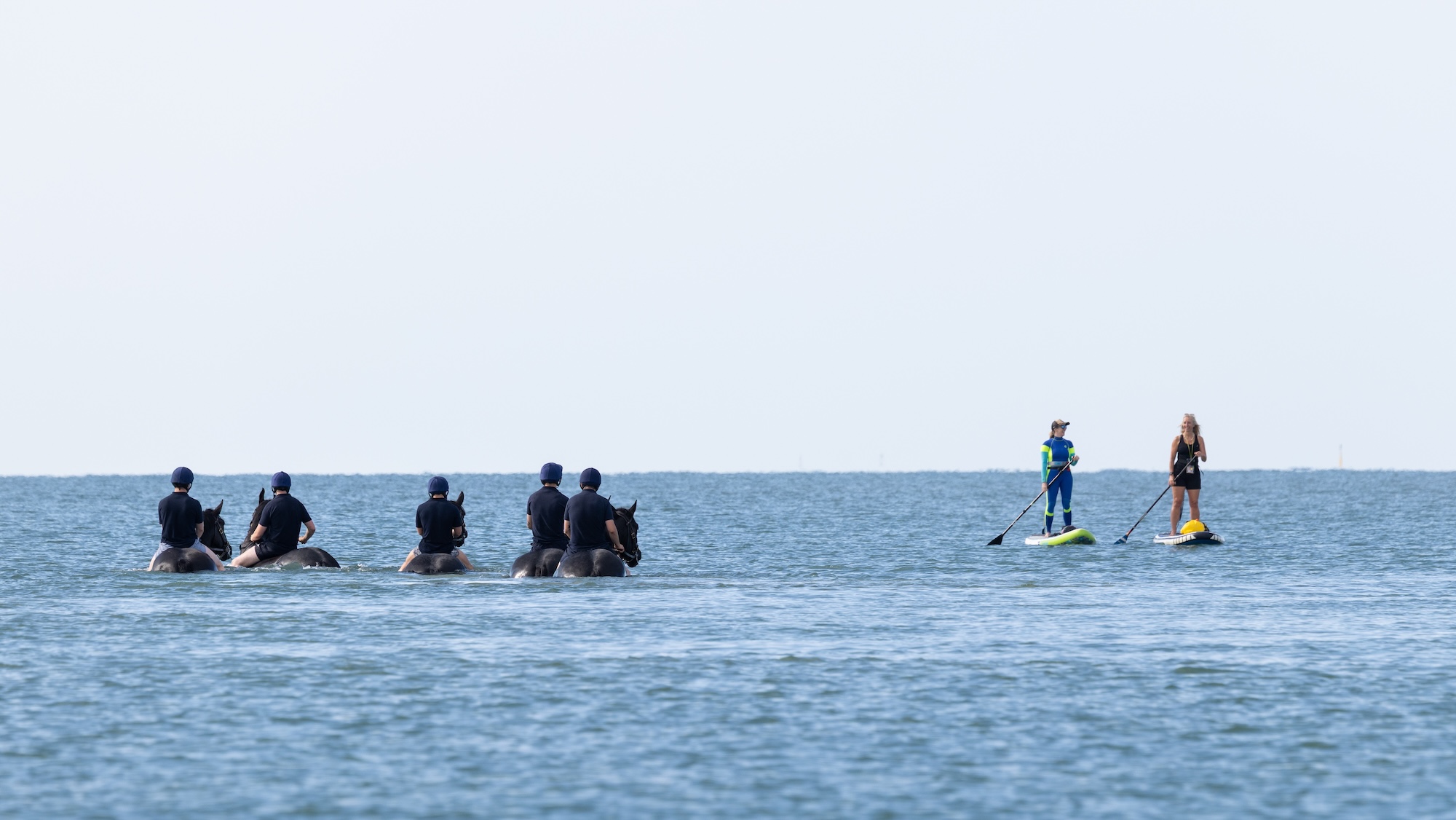 The Household Cavalry Mounted Regiment riding in the sea alongside two paddleboards