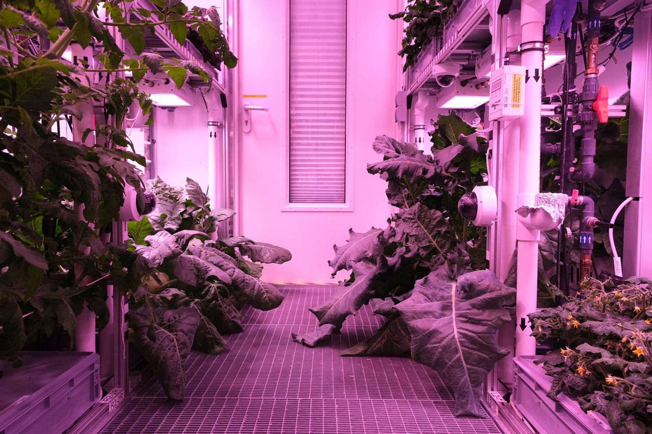 宇宙で料理されたものは何？ 宇宙食クイズ！