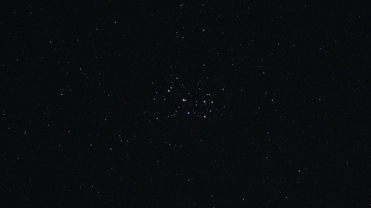 The Pleiades in the night sky
