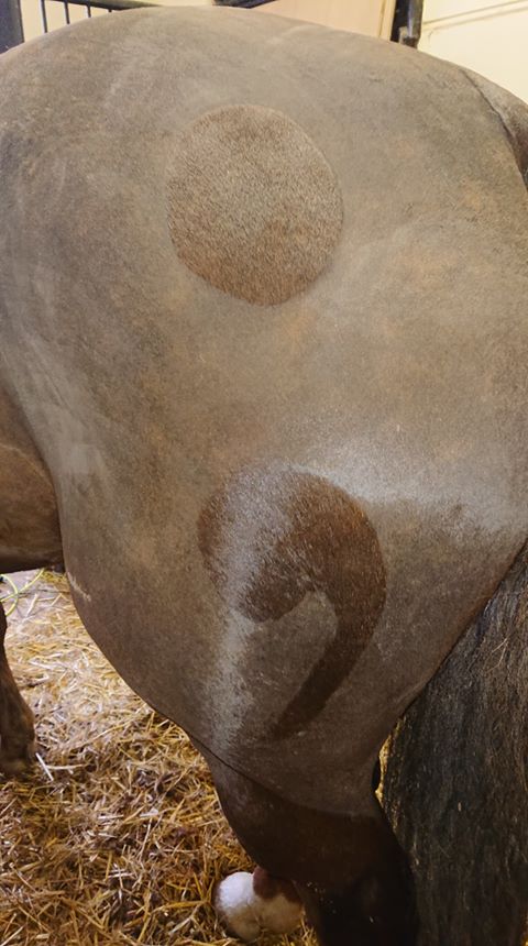 Semicolon2