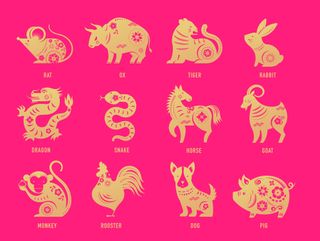Chinese Zodiac 2022: Chinese new year, zodiac signs, papercut icons and symbols. Vector illustrations.