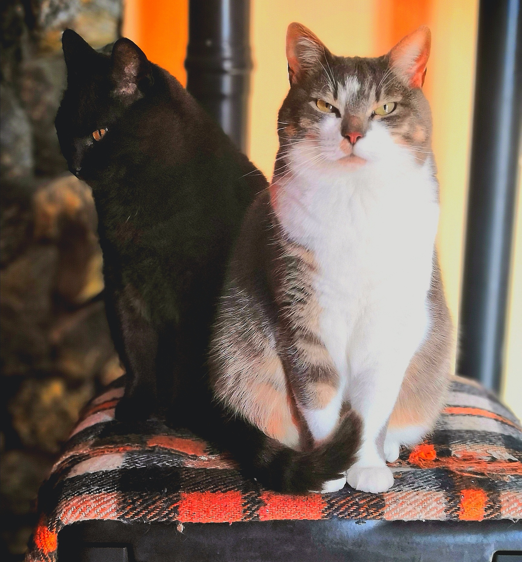 come modificare una foto