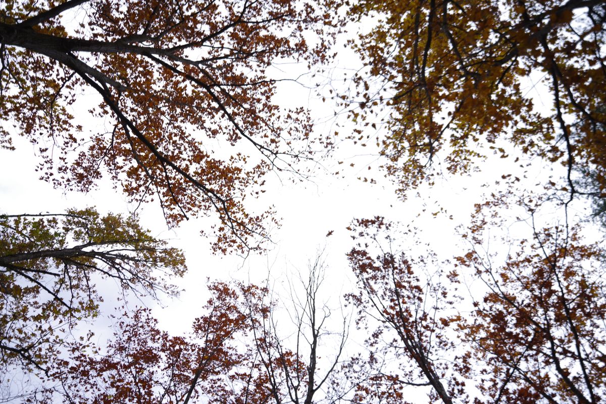 An image shot with the Pentax 15-30mm f/2.8 and the Pentax K-1 Mark II