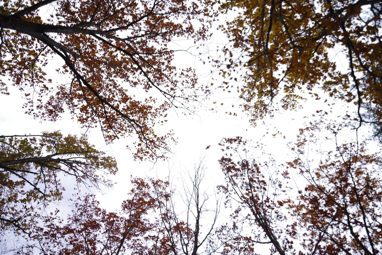 An image shot with the Pentax 15-30mm f/2.8 and the Pentax K-1 Mark II