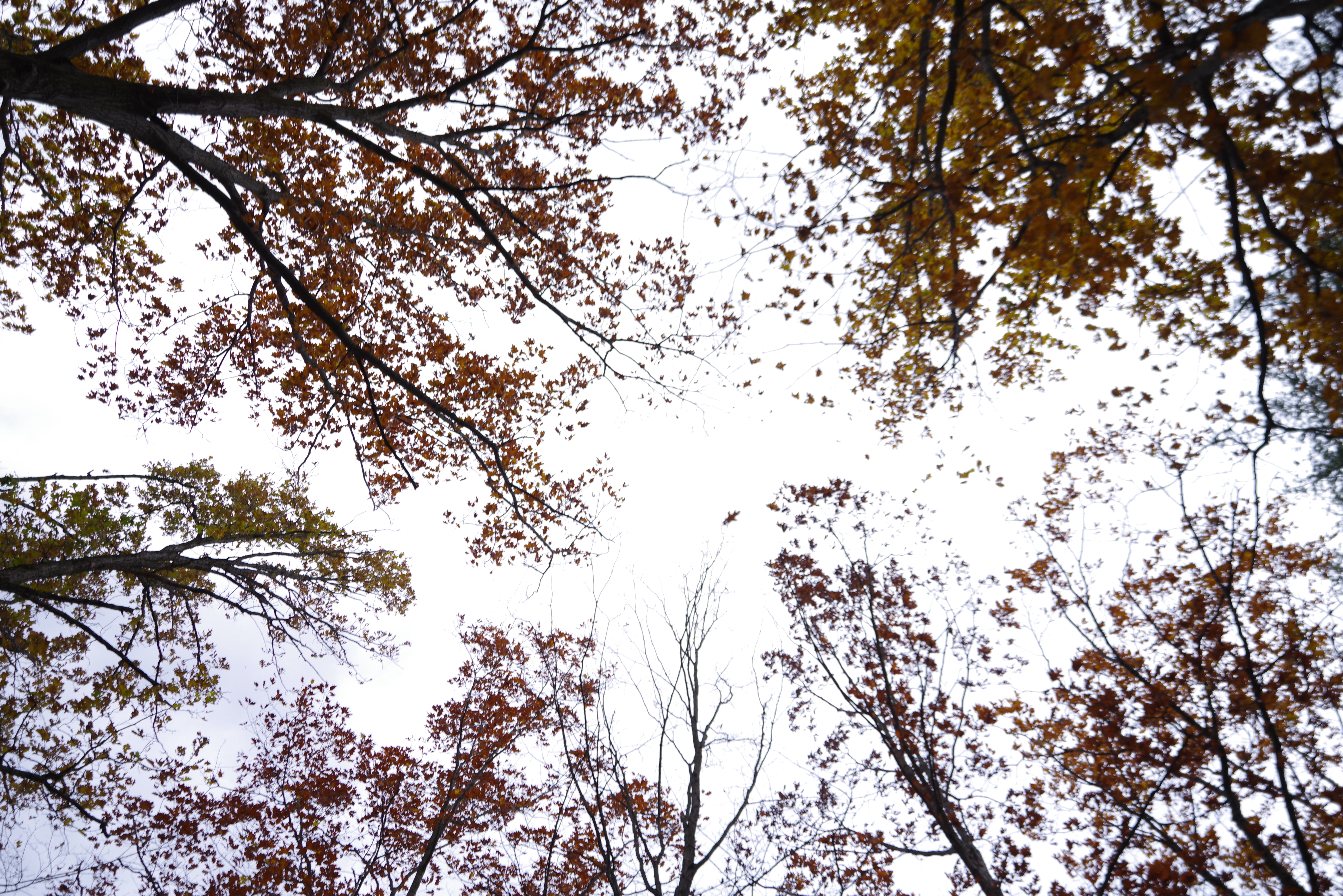 An image shot with the Pentax 15-30mm f/2.8 and the Pentax K-1 Mark II