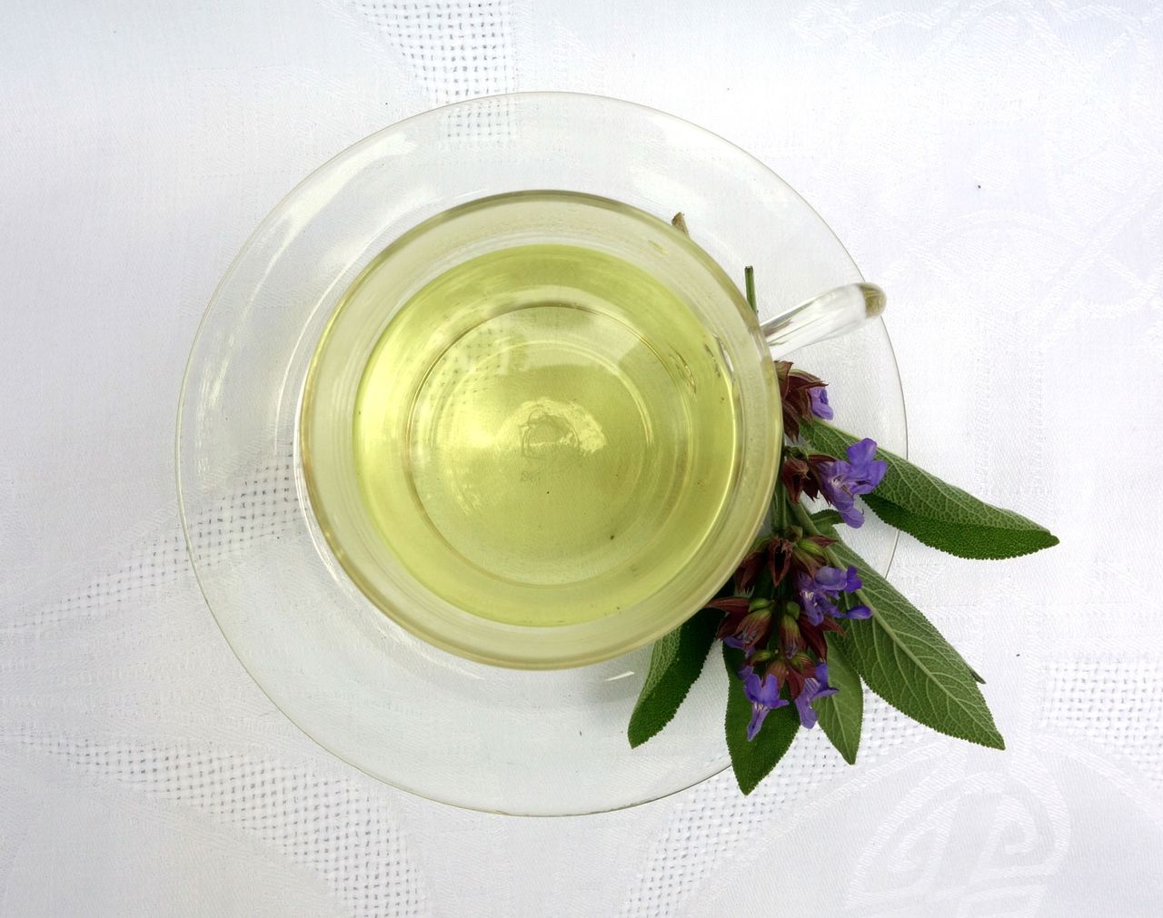 Liz Earle reveals the herb you can add to your cooking AND cocktails to