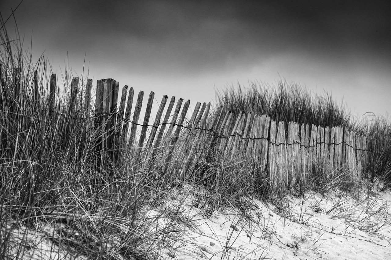 Shot with the RX100 VI's mono Picture Style and edited in Photoshop. Sony Cyber-shot RX100 VI, 1/640 sec at f/4, ISO125
