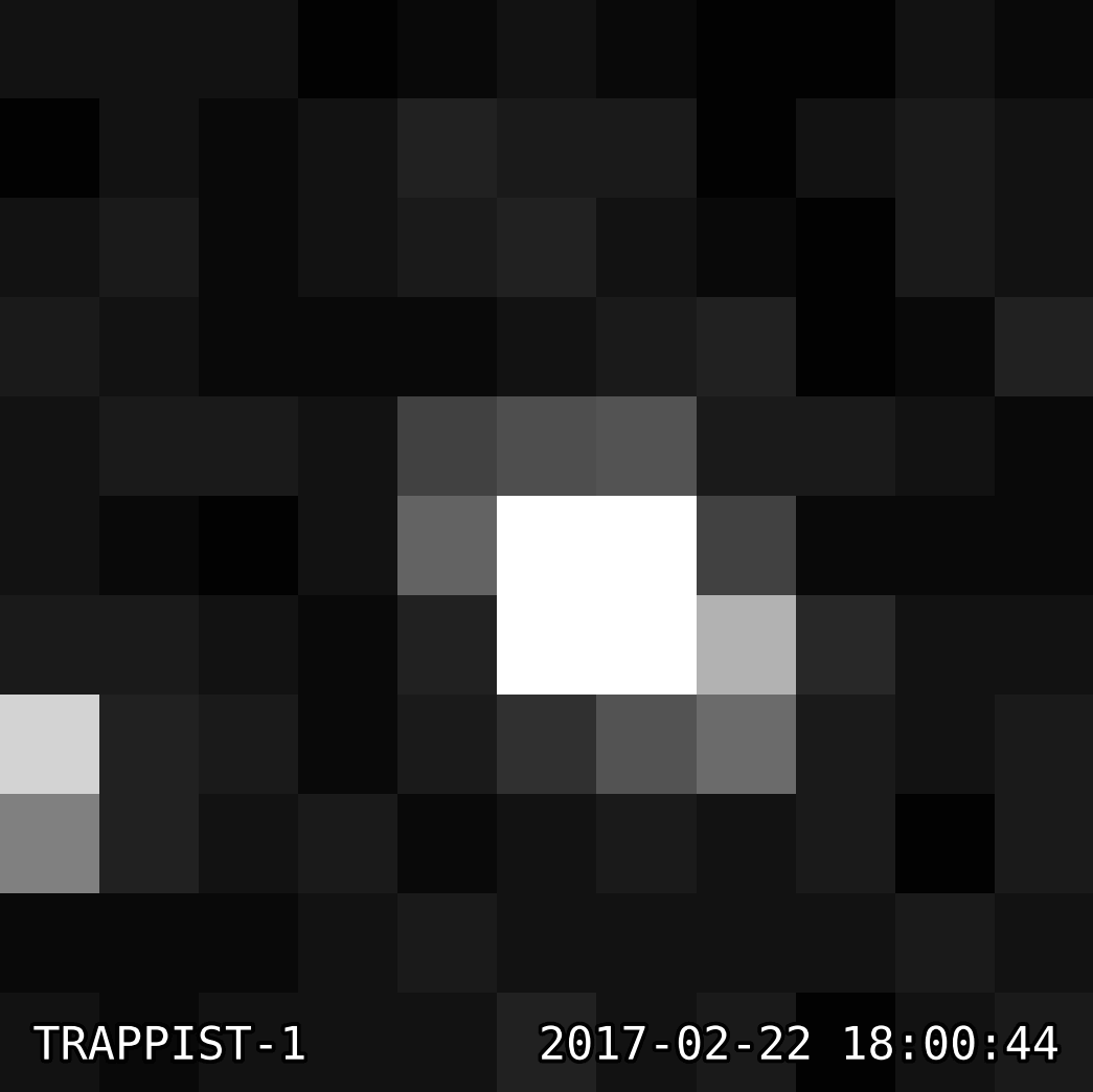 Images of the TRAPPIST-1 star system captured by the Kepler Space Telescope. This animation shows the amount of light detected by each pixel in a small section of Kepler's on board camera. While Kepler observed the system for 74 days, this animation shows 60 photos taken by Kepler's onboard camera once a minute for an hour.