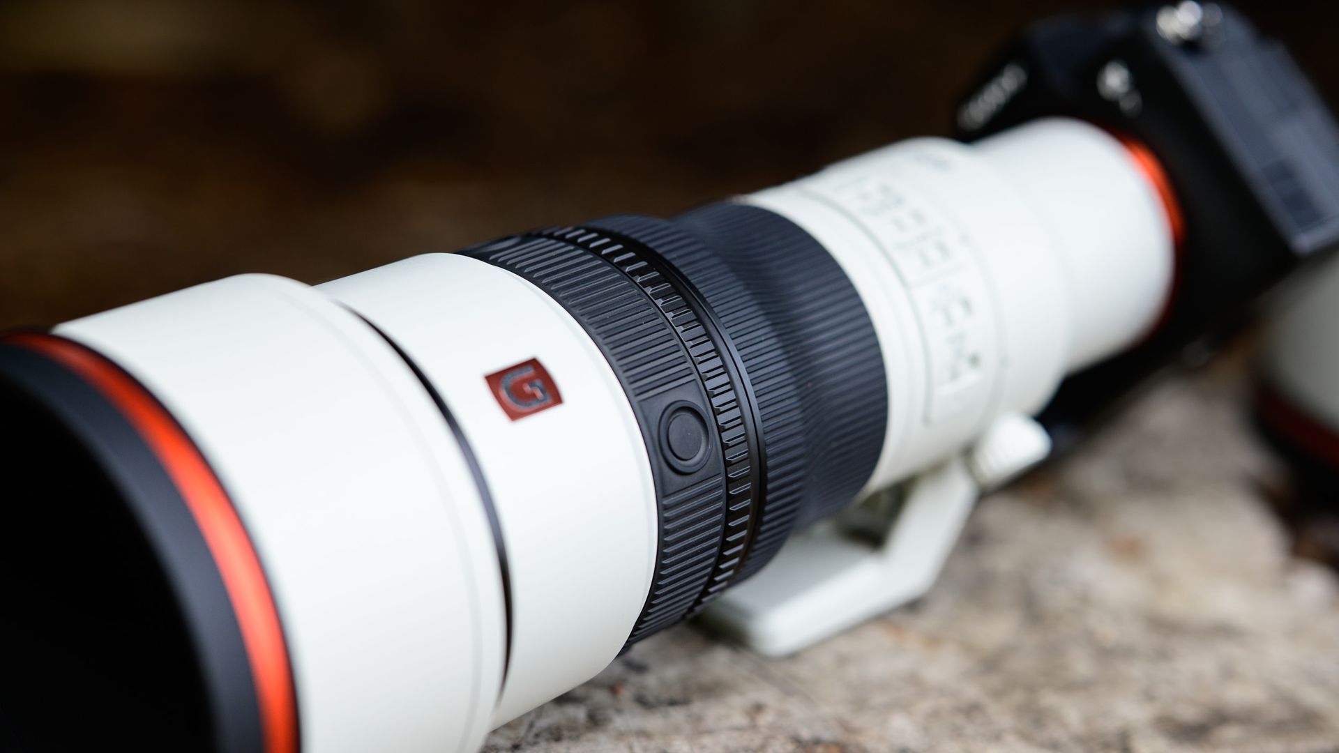 Sony FE 600mm F6.3 GM OSS super-telephoto lenses on a tree stump, attached to a Sony A7R V camera