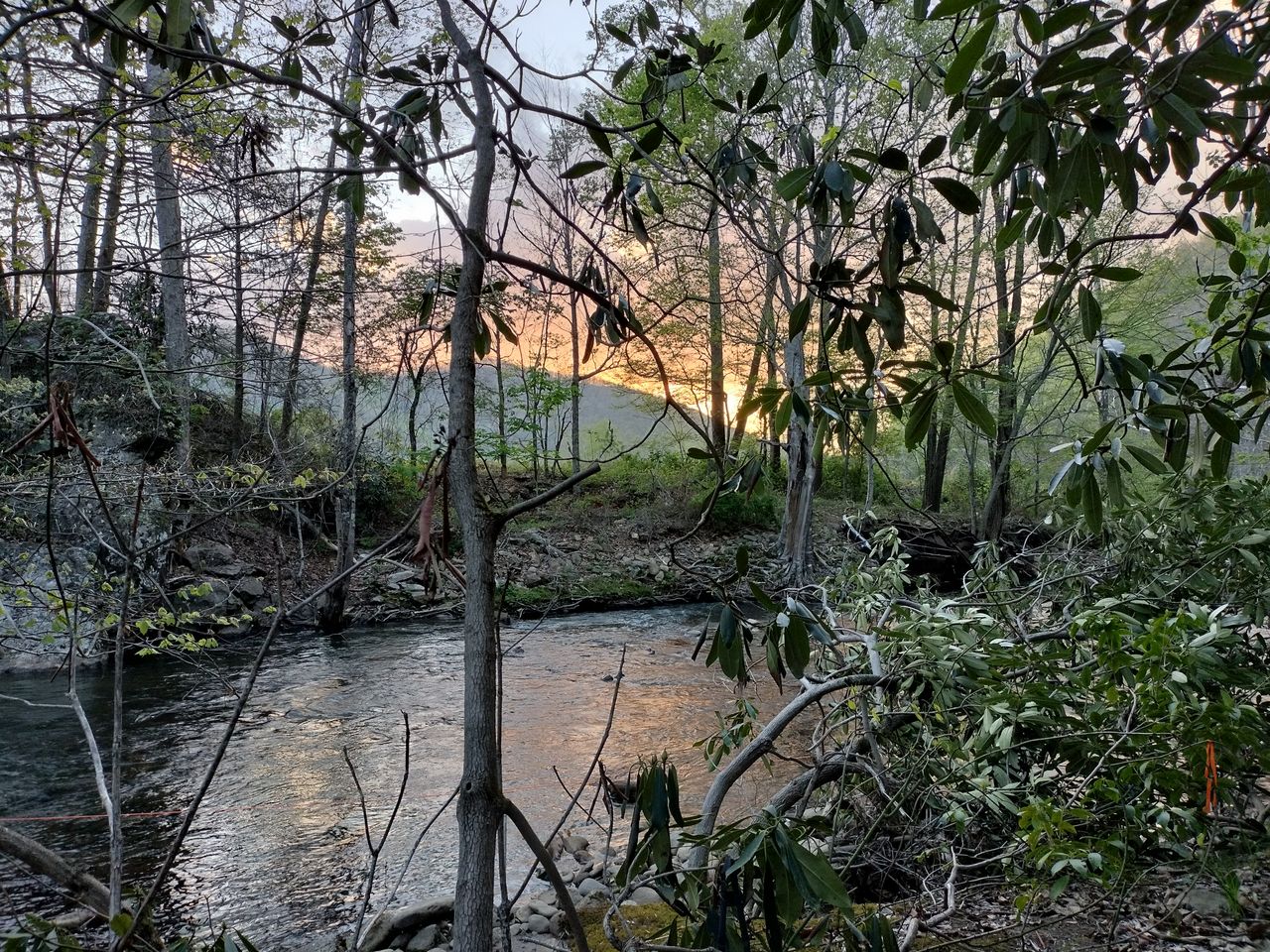 OnePlus Nord N20 camera sample