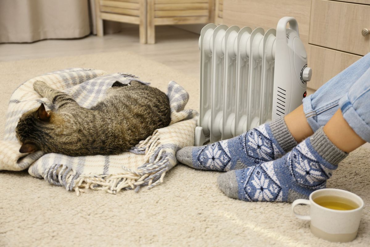 Why I use an oil-filled radiator to stay warm while working from home