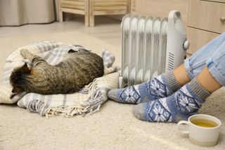 A woman in socks with her cat beside an oil-filled radiator